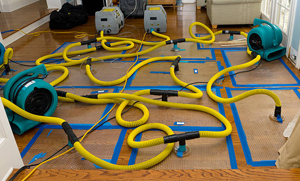 Professional Flood Damage Restoration technician working in New Riegel, OH
